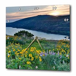 3dRose Danita Delimont - Sunrises - Wildflowers at sunrise a