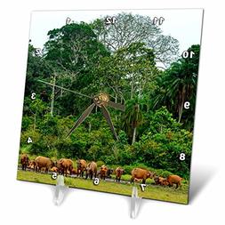 3dRose Danita Delimont - Cattle - African forest buffalo in 