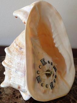 GENUINE Large CONCH SEA SHELL with  CLOCK for Shelf - NAUTIC